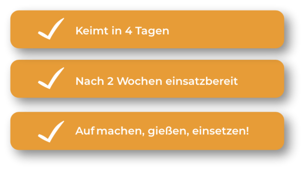 WiesiFix Rasenpflaster – Bild 3